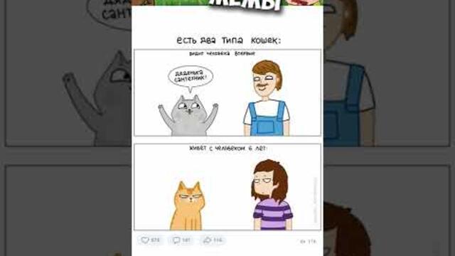 Мемы 2022 #мемы #мем #коты #котики #приколы #кошки #кот #котик #подпишись