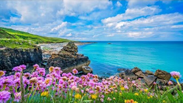 Это пробирающая до мурашек красивая Мелодия, доходящая до самых глубин души! Музыка Сергей Грищук