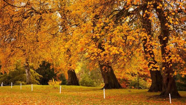 Осень! Красивая Музыка Для Души!Сборник красивой музыки для души!Невероятно красивая осенняя мелодия
