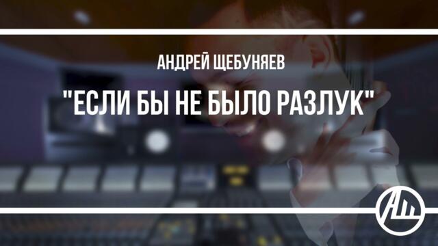 Андрей Щебуняев   -   Если бы не было разлук Андрей Щебуняев