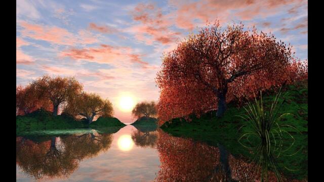 СВИДАНИЕ ПОД ДОЖДЁМ....