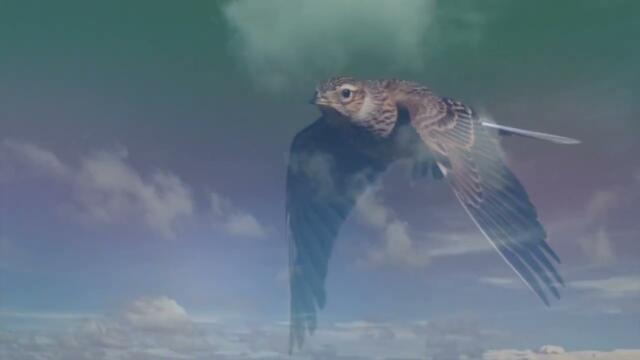 СВЕТА ЛАНИКА    -     ОТЗВЕНЕЛО ЛЕТО