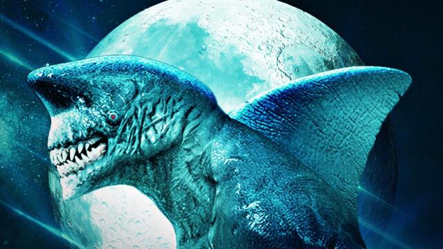 Shark Side of The Moon Movie