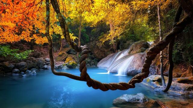 Музыка для души. Эту музыку можно слушать вечно! Лучшие композиции Сергея Грищука!