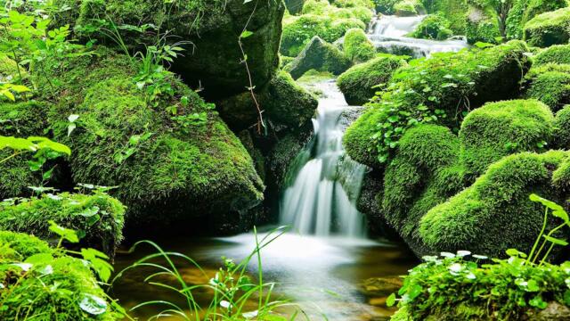 Эта музыка излучает невероятный покой и тишину! можно слушать и слушать нон стоп