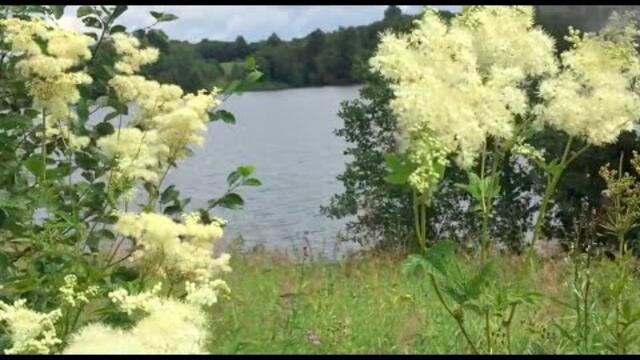 Заливные Луга, Голубая Река под Божественно Красивую Мелодию!