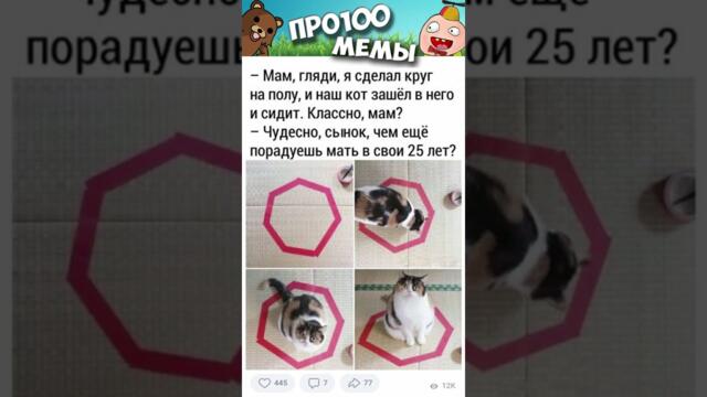 Мемы #котики и #кошки #коты #смешныекоты #котята #приколы #мем #кот #мемыпро100 #подпишись