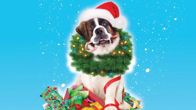 Коледното приключение на Бетовен (синхронен екип 2, дублаж на студио VMS, 14.10.2022 г.) (запис)