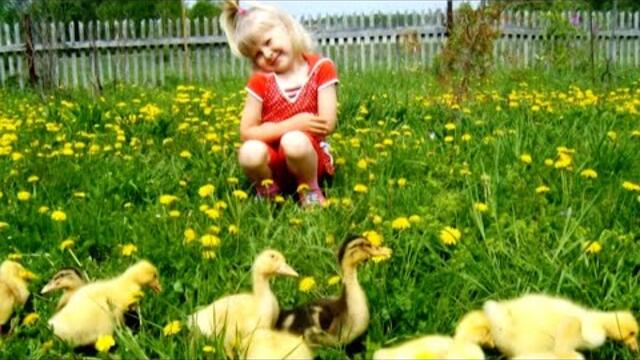 Валерий Власов ★ Домик мой старенький.