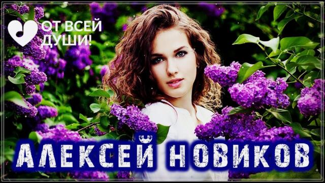 Алексей Новиков   -   ДУШИСТАЯ СИРЕНЬ