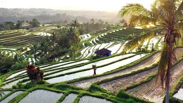 BALI  IN  8K ULTRA HD HDR - PARADISE  OF  ASIA. Relaxing music Sleeping music