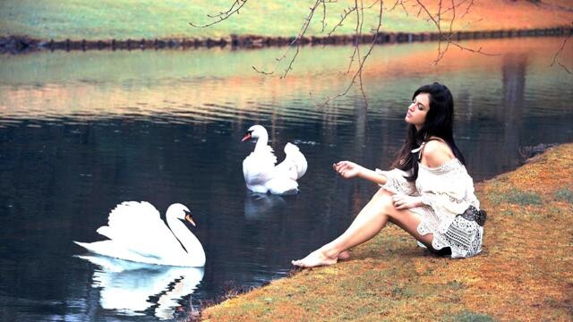 Чудесно и Красиво! Сборник ЛУЧШИХ Мелодий от которых мурашки по телу! Красивая музыка!