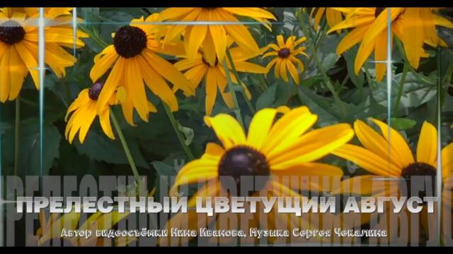Чудесная Мелодия и Прелестный Цветущий Август!