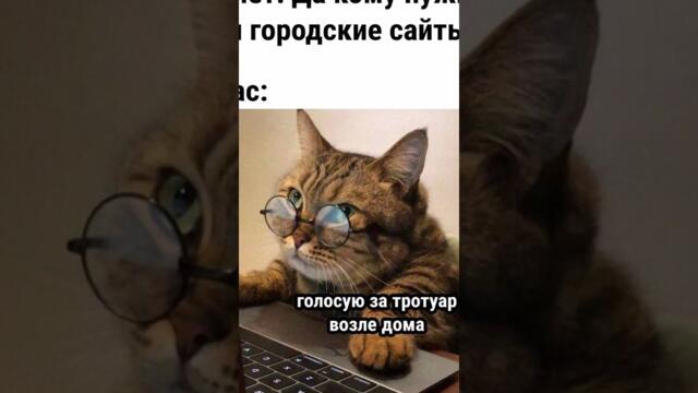 Мемы #котики и #кошки #коты #мем #кот #котик #прикол #приколысживотными #приколыскотами #мемыпро100