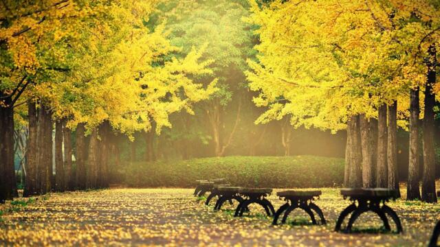 Мелодии октября, Путешествие с осенним ветром - Музыка Сергей Грищук