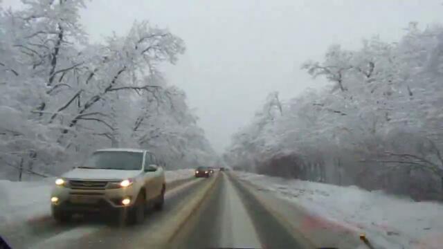 Дорогая моя ...