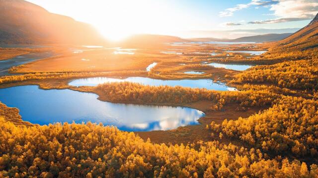 Необыкновенная красивая Романтическая осенняя музыка Любви! Лучшая для души! Очарование осени