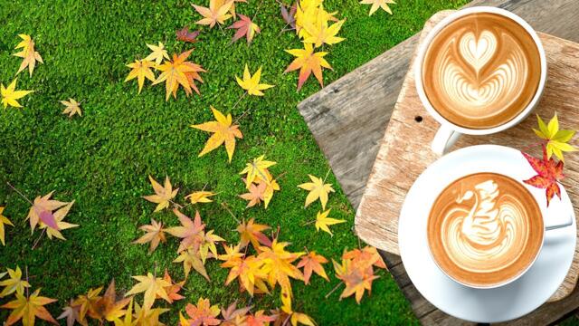 Сборник ЛУЧШИХ Мелодий от которых мурашки по телу! Красивая музыка!