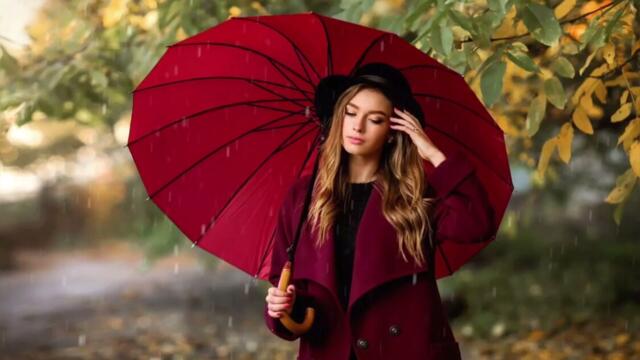 ВЕТЕР КРУЖИТ ЛИСТЬЯ С ДОЖДЁМ