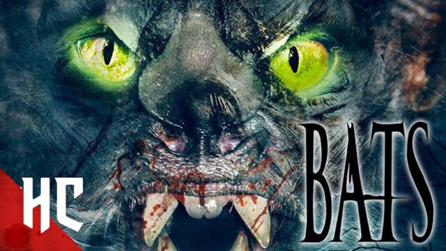 BATS (Halloween 2022) | Full Monster Horror Movie | HORROR CENTRAL
