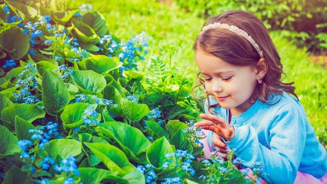 Сборник ЛУЧШИХ Мелодий от которых мурашки по телу! Красивая музыка!