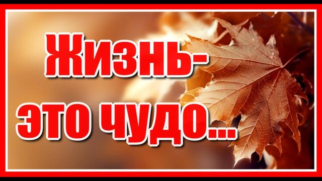 Жизнь это чудо! Люби её... Красивые афоризмы о жизни с нежной мелодией Сергея Грищука. Послушайте!