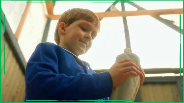 Олеся Борисова и Валерий Парфенов   -   БЕЛЫЕ ГОЛУБИ