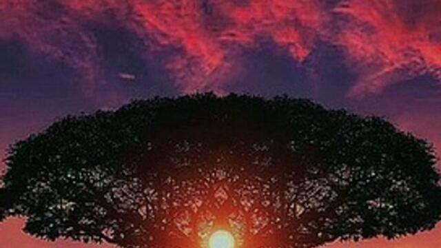 Stacey Ryan - Fall In Love Alone lilik lagu