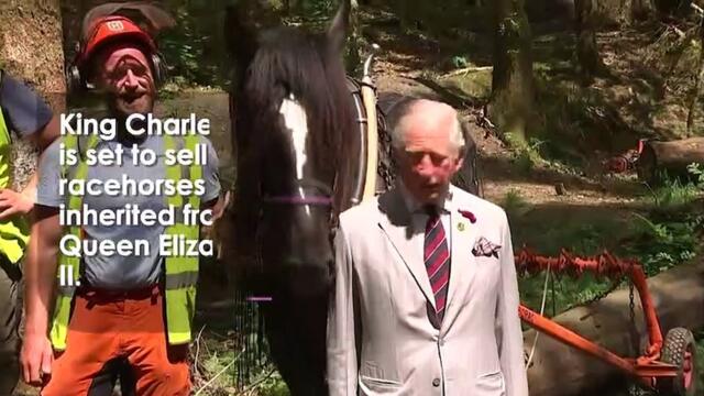 King Charles set to sell Queen's racehorses