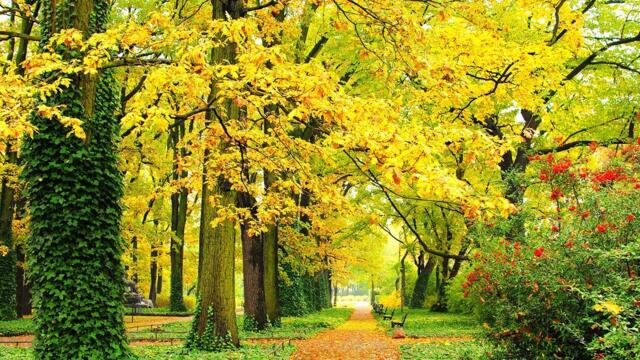 Мелодии октября, Путешествие с осенним ветром - Музыка Сергей Грищук