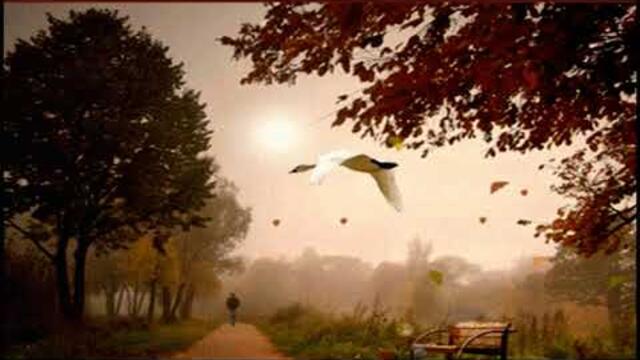 ПОЗДНЯЯ ОСЕНЬ...