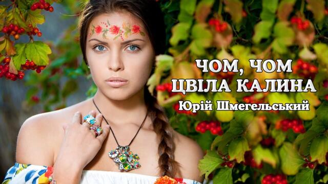 Юрій Шмегельський   -   Чом, чом цвіла калина