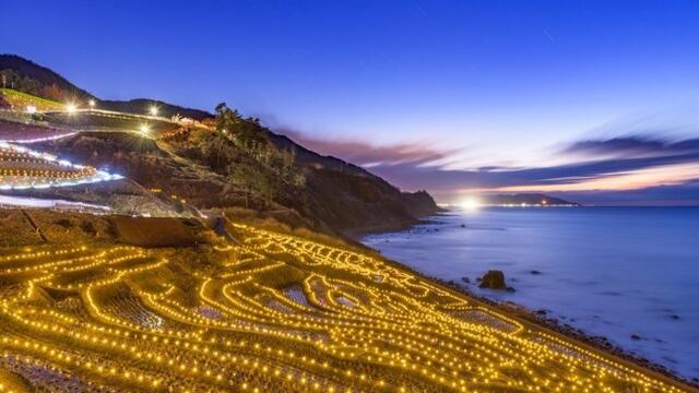 Светещ ориз В Япония с 2800 LED лампи в полето привличат туристи с блестящи светлини!