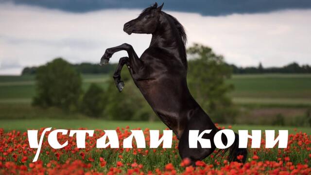 Владимир Двинской   -   Устали Кони!