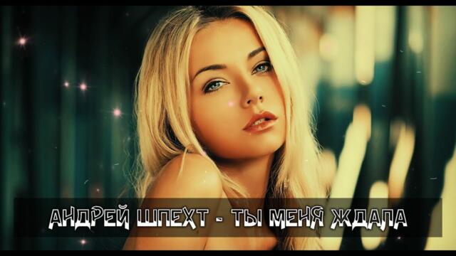 Андрей Шпехт   -   ТЫ МЕНЯ ЖДАЛ