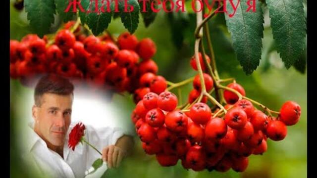 Ждать тебя буду