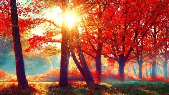 Лучшая для души! Необыкновенная красивая Романтическая осенняя музыка Любви!