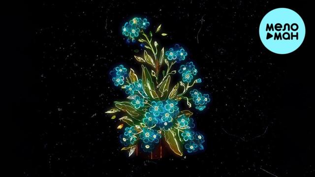 STERVELL - Незабудки