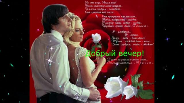 Добрый  вечер!      Камалия  -  Близко