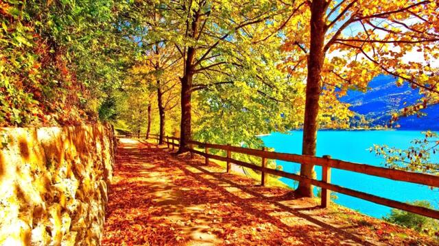 Такая теплая и нежная мелодия ДЛЯ ДУШИ... очень красивая и трогательная! Relax