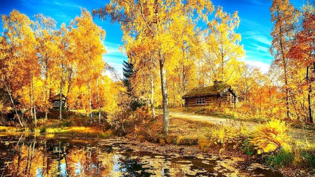 Очарование осени! Необыкновенная красивая Романтическая осенняя музыка Любви!Лучшая для души! #2