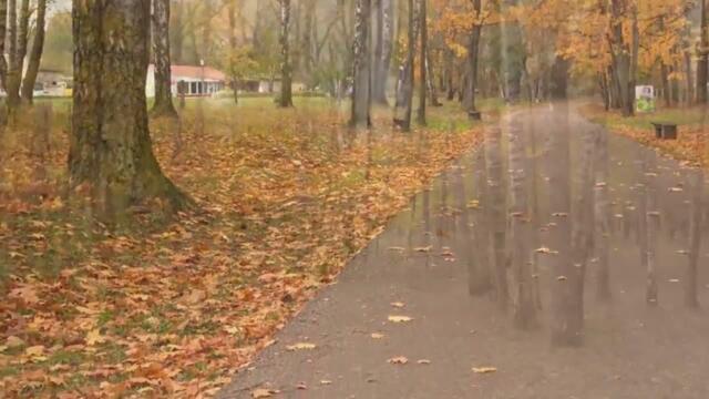 Анатолий Кулагин    -   ОСЕННЯЯ ПОХОДКА
