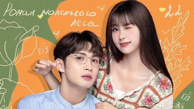 Роман маленького леса 22 серия (русская озвучка) дорама A Romance of The Little Forest