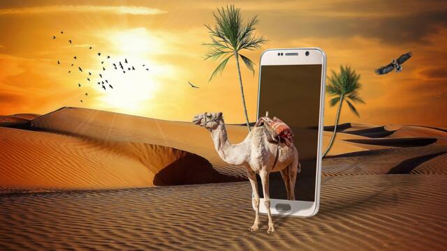 🌞 Красиви пустинни пясъчни дюни ... (music by Ethno Music Project) 🐫