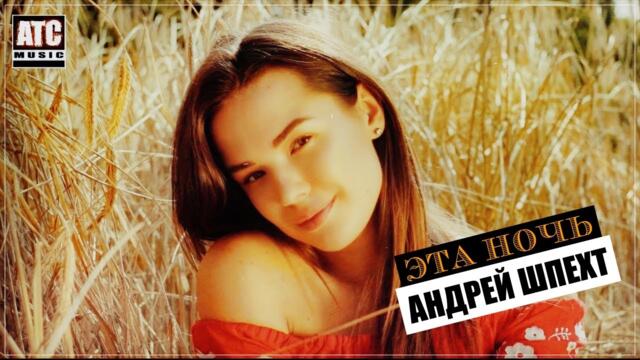 Андрей Шпехт - Эта ночь