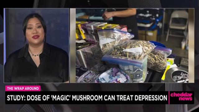 Study Shows Magic Mushrooms Can Treat Depression