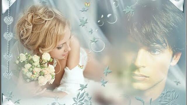 Евгений Коновалов   -   Розы белые