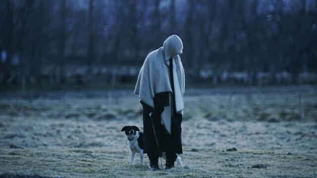 Quadeca - I Didn't Mean To Haunt You (Full Album Movie)