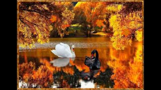 Шансон   2022 года   песни