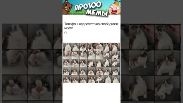 МЕМЫ ЕСТЬ МЕМЫ #приколы #юмор #лютыеприколы #школа #котики #мемы #троллинг #shorts